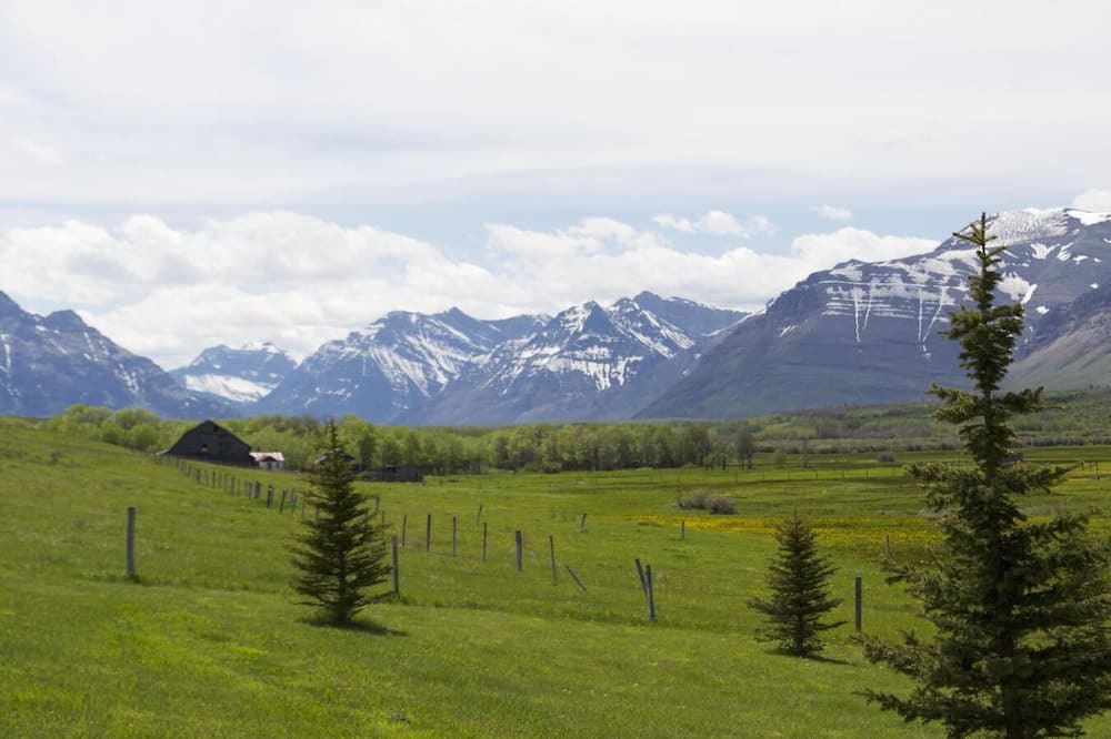 Photo of Others in Waterton Park