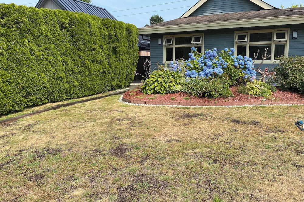 Photo of Outdoor in Delta