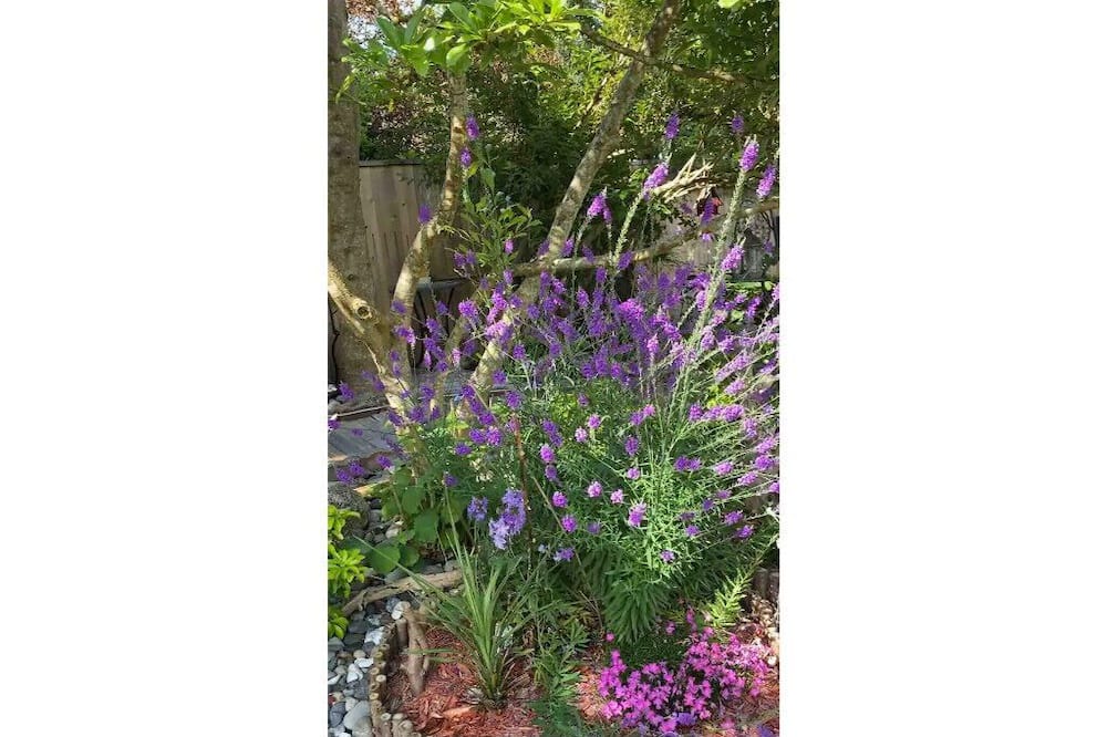 Photo of Outdoor in Delta