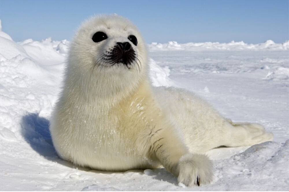 Photo of Others in Iles de la Madeleine