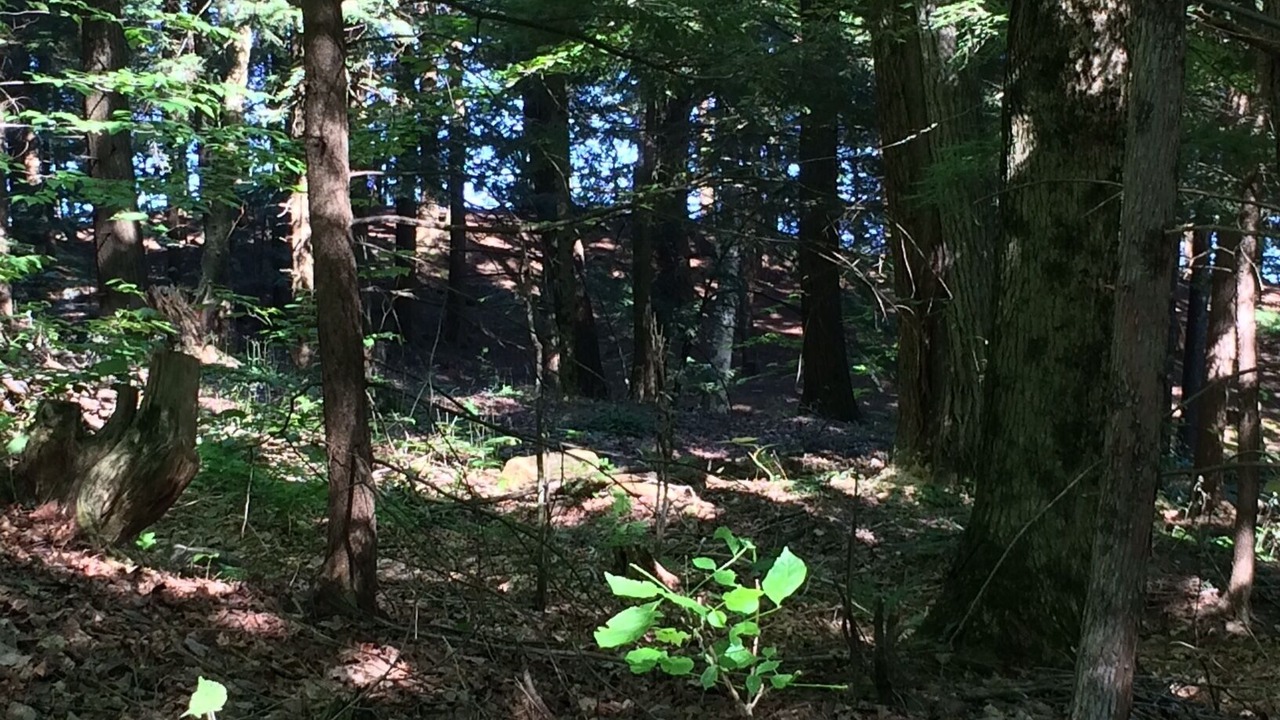 Photo of Outdoor in Potton