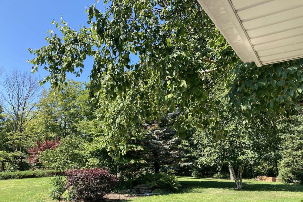 Photo of Outdoor in Port Albert