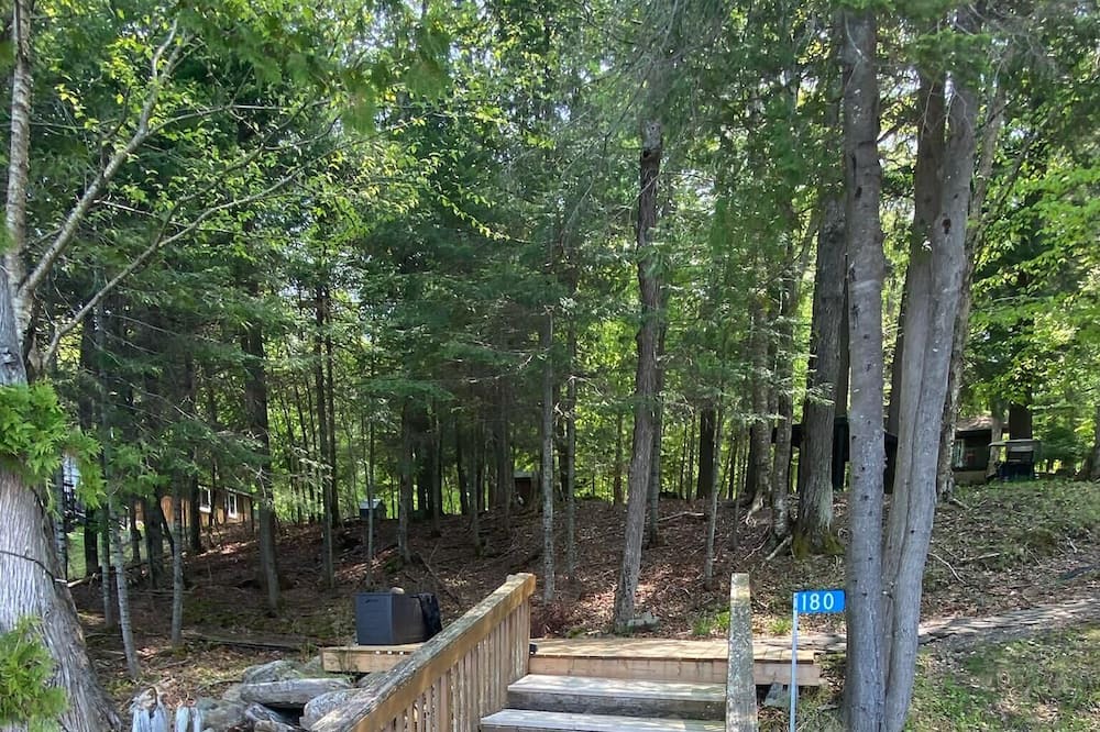 Photo of Others in Baysville