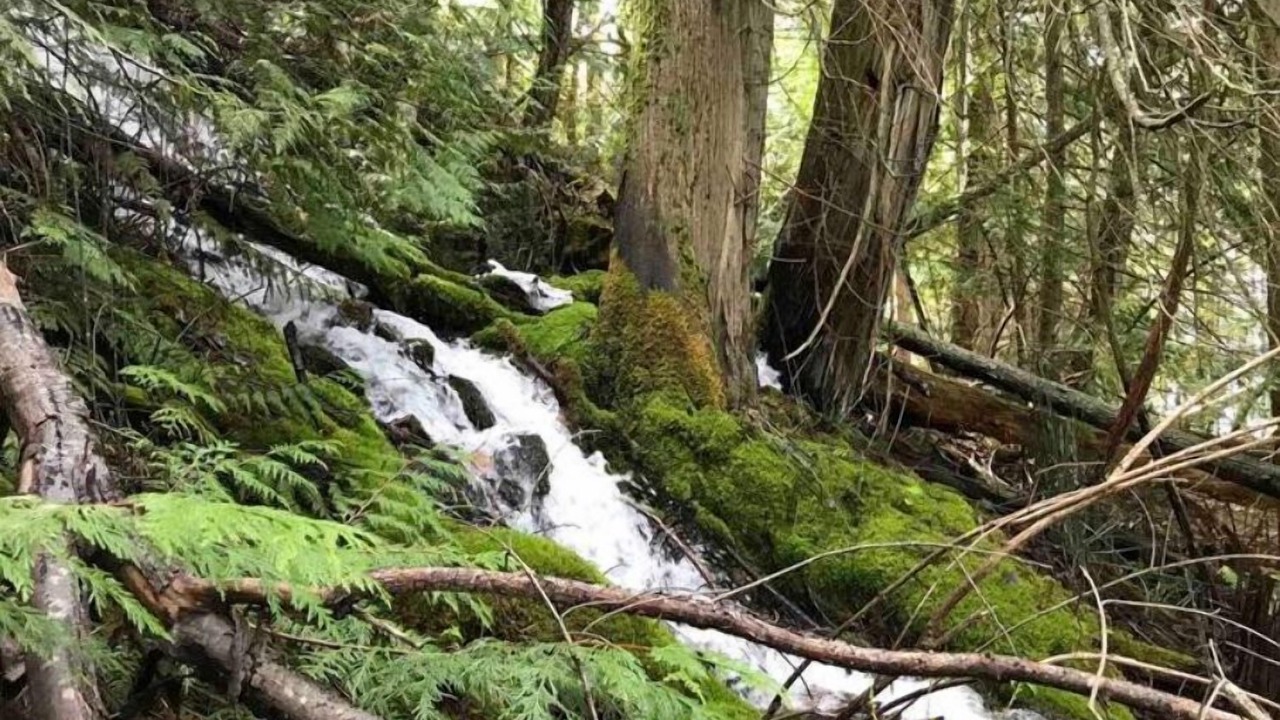 Photo of Outdoor in Central Kootenay