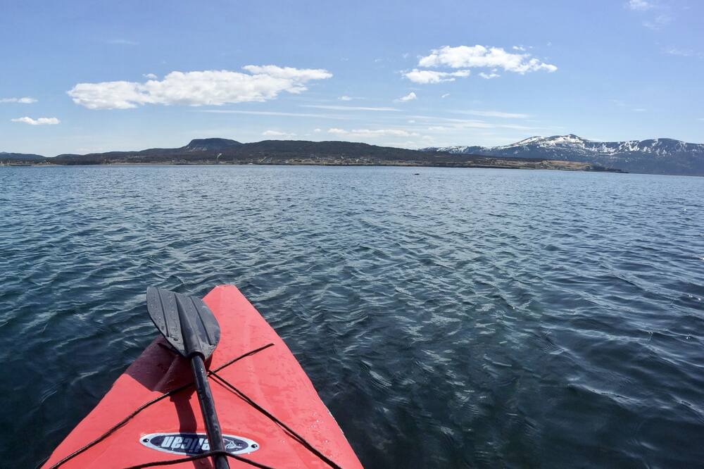 Photo of Others in Norris Point