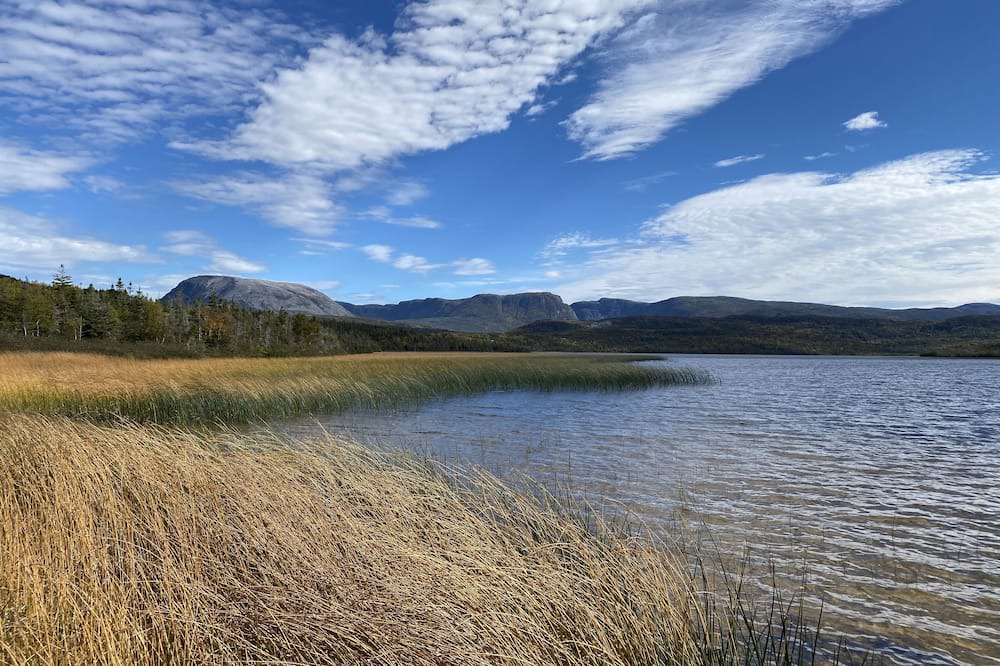 Photo of Outdoor in Norris Point