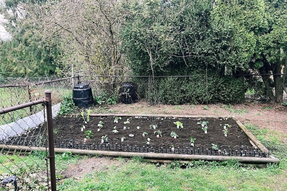 Photo of Outdoor in Mission
