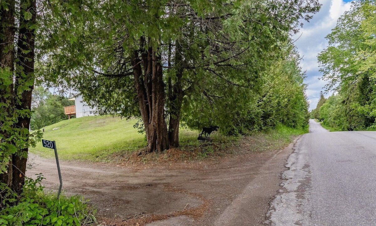 Photo of Outdoor in Trent Lakes