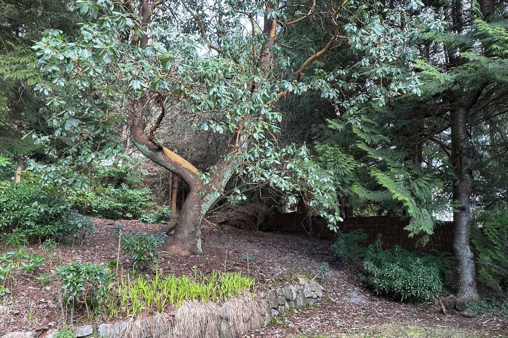 Photo of Outdoor in West Vancouver