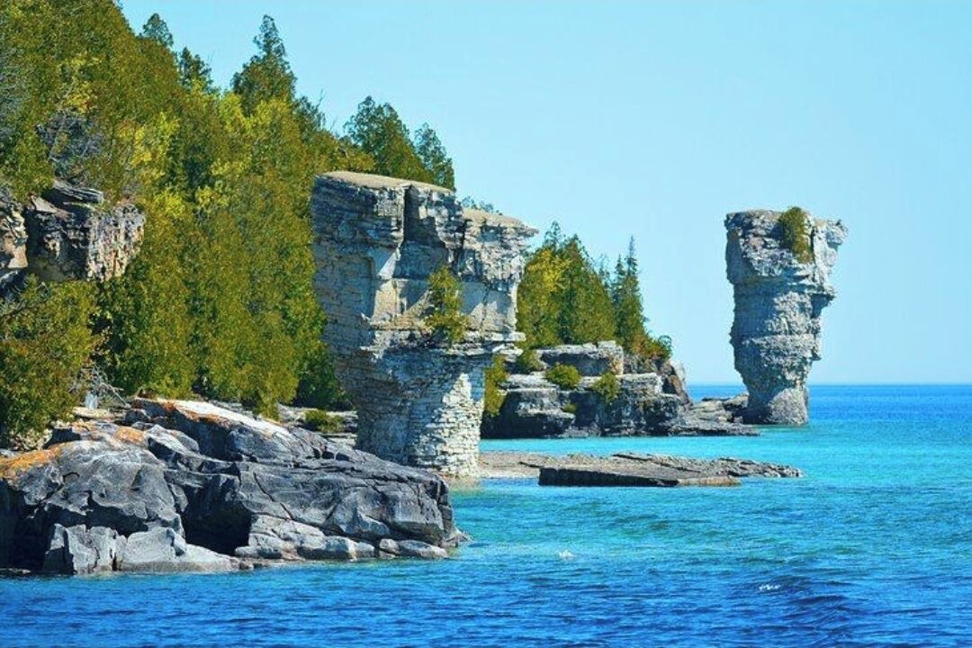 Photo of Others in South Bruce Peninsula