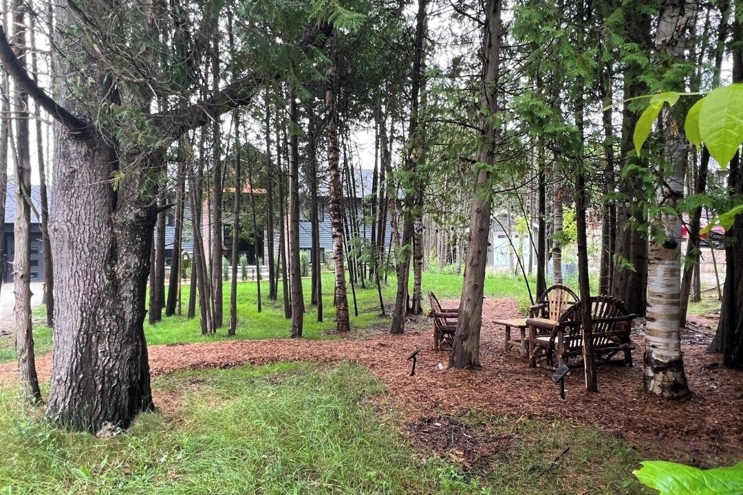 Photo of Outdoor in South Bruce Peninsula