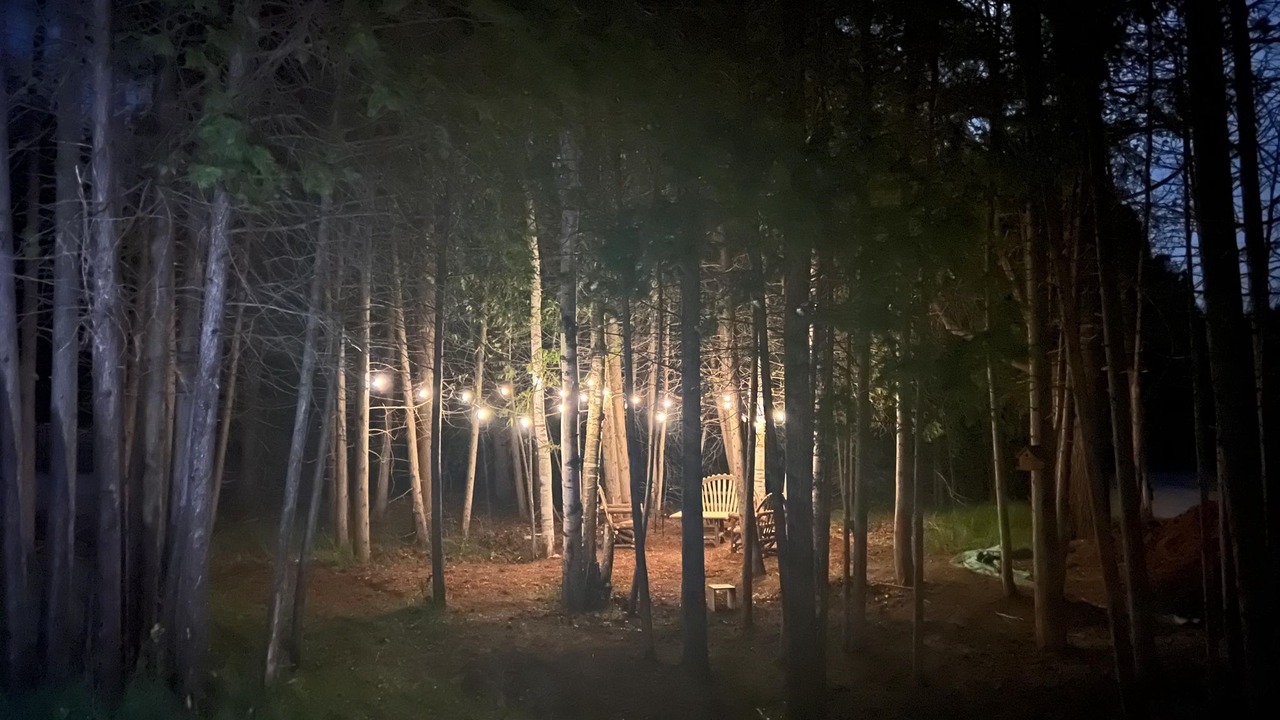 Photo of Others in South Bruce Peninsula