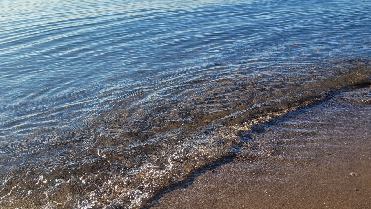 Photo of Others in Turkey Point