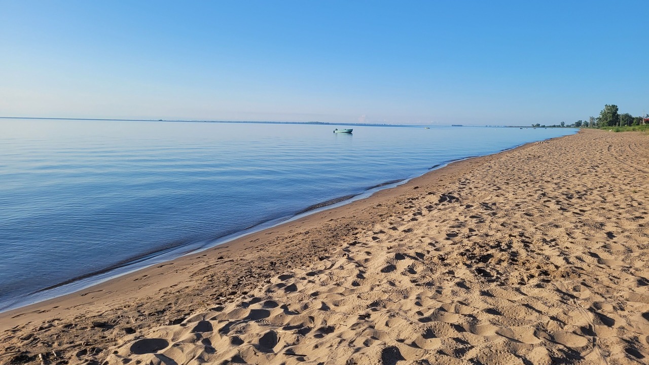 Photo of Others in Turkey Point