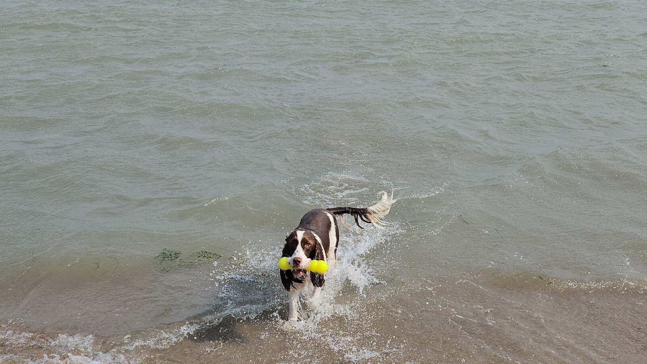 Photo of Others in Turkey Point