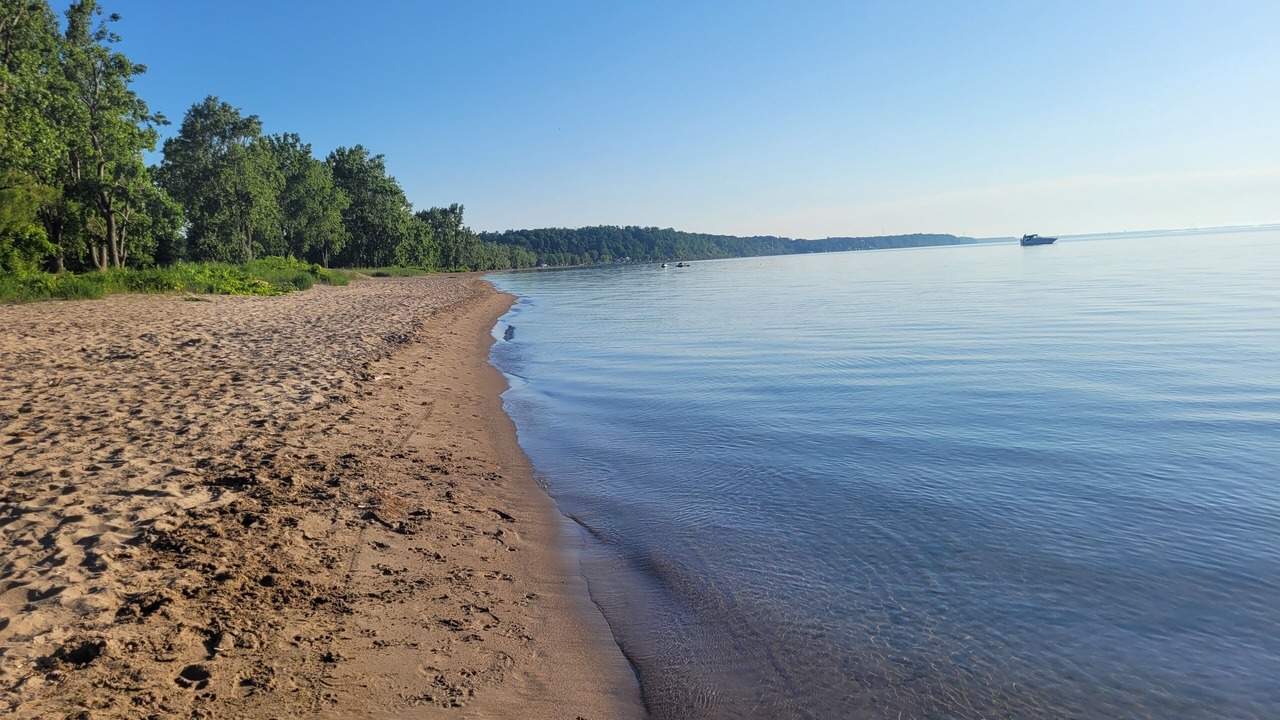 Photo of Others in Turkey Point