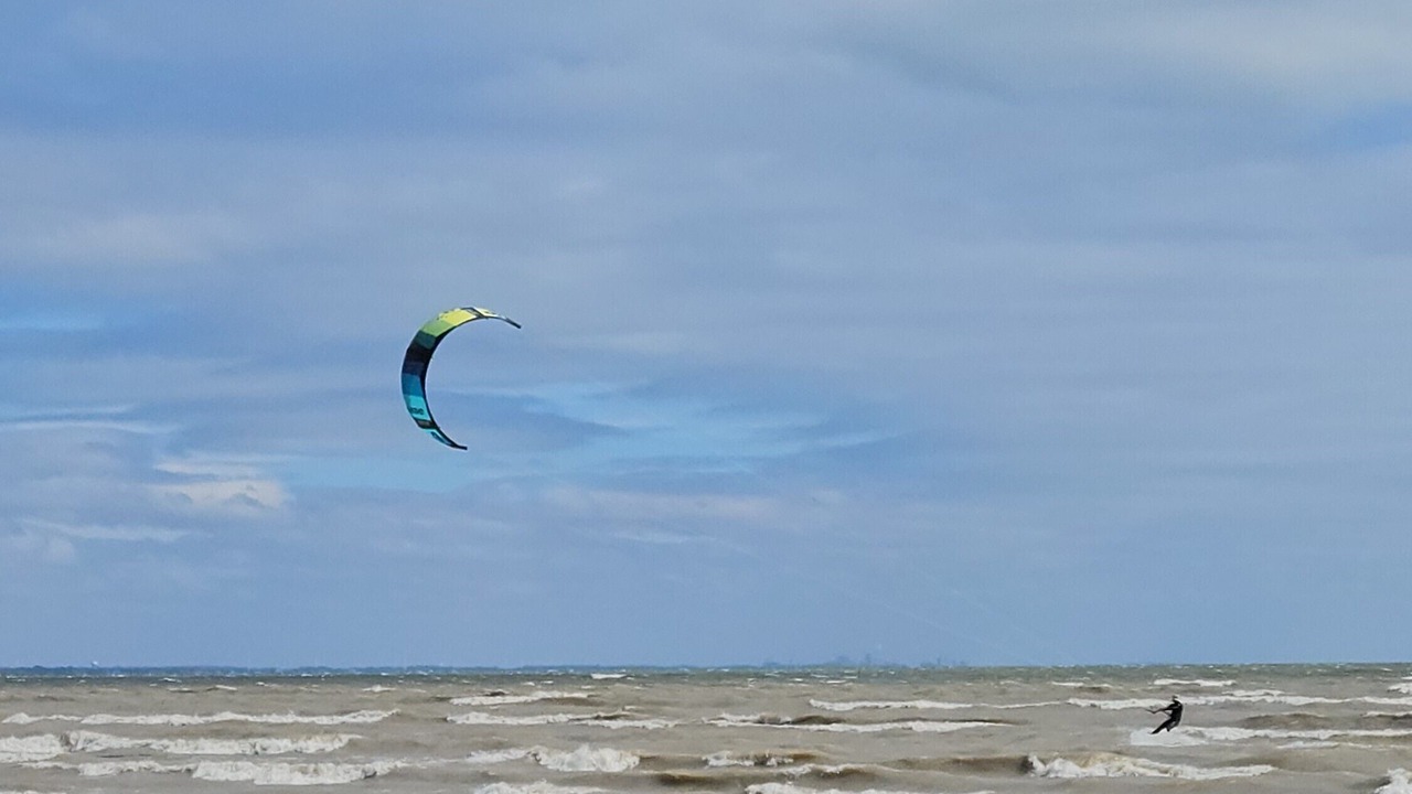 Photo of Others in Turkey Point
