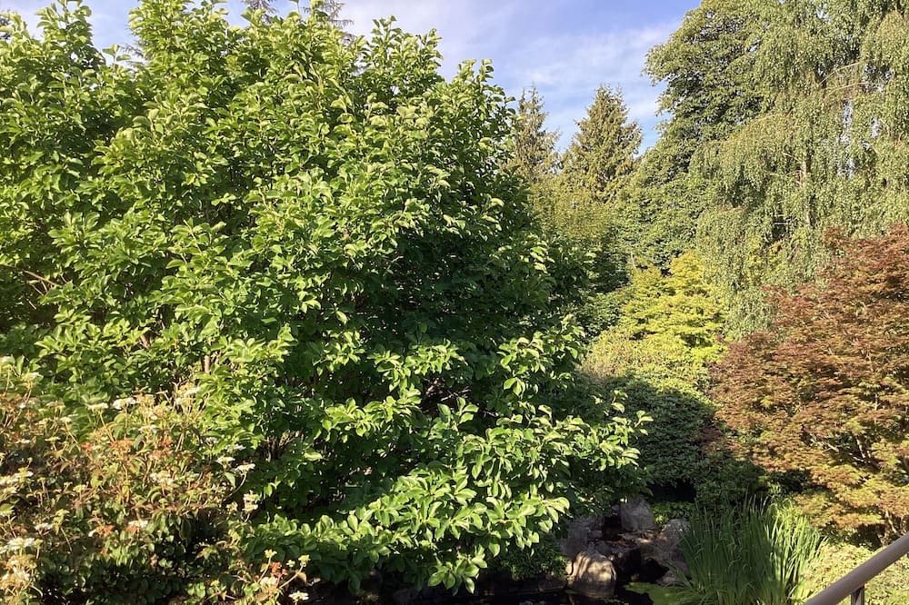 Photo of Others in West Vancouver