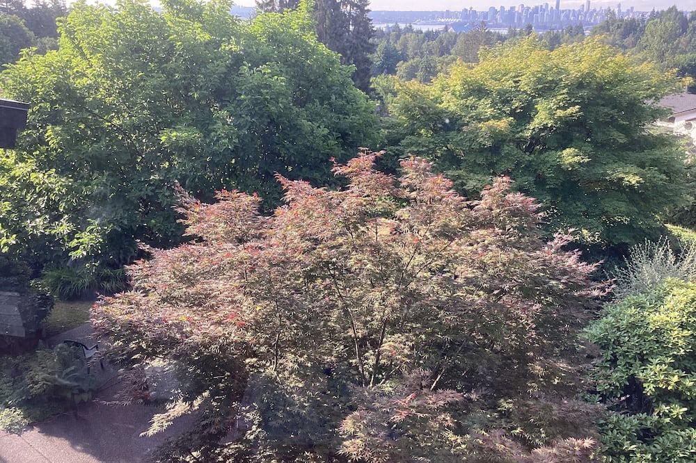 Photo of Outdoor in West Vancouver
