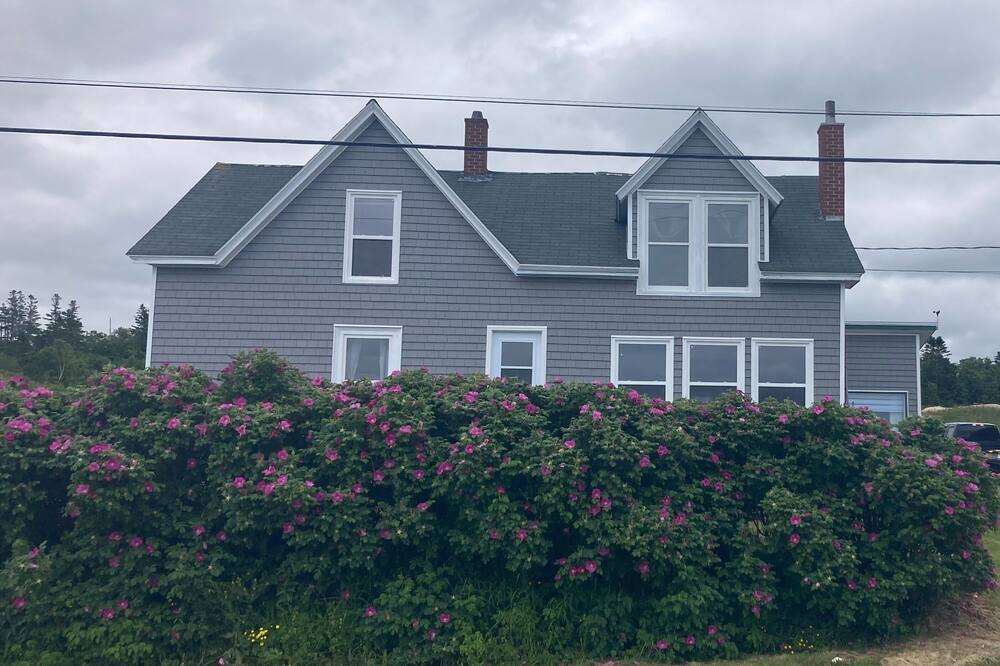 Photo of Others in Port George