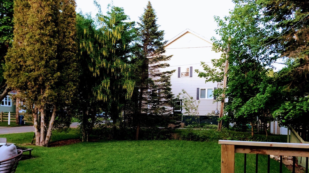 Photo of Outdoor in Corner Brook