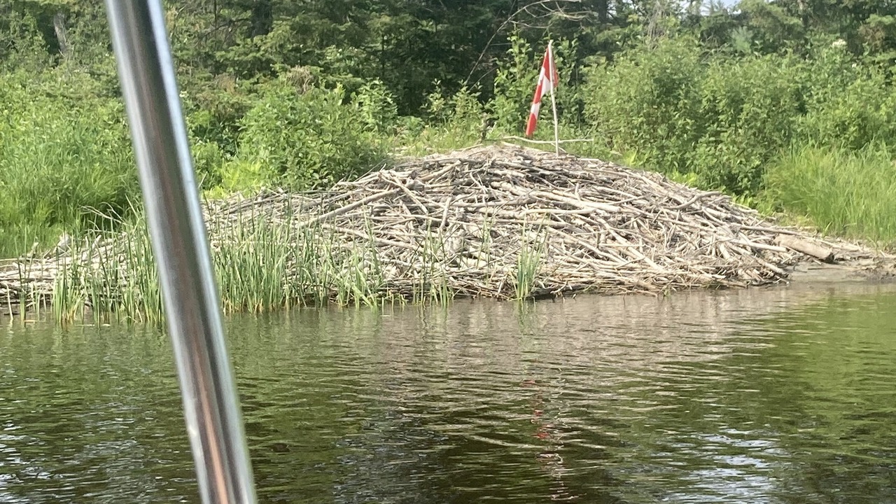 Photo of Others in Timiskaming District