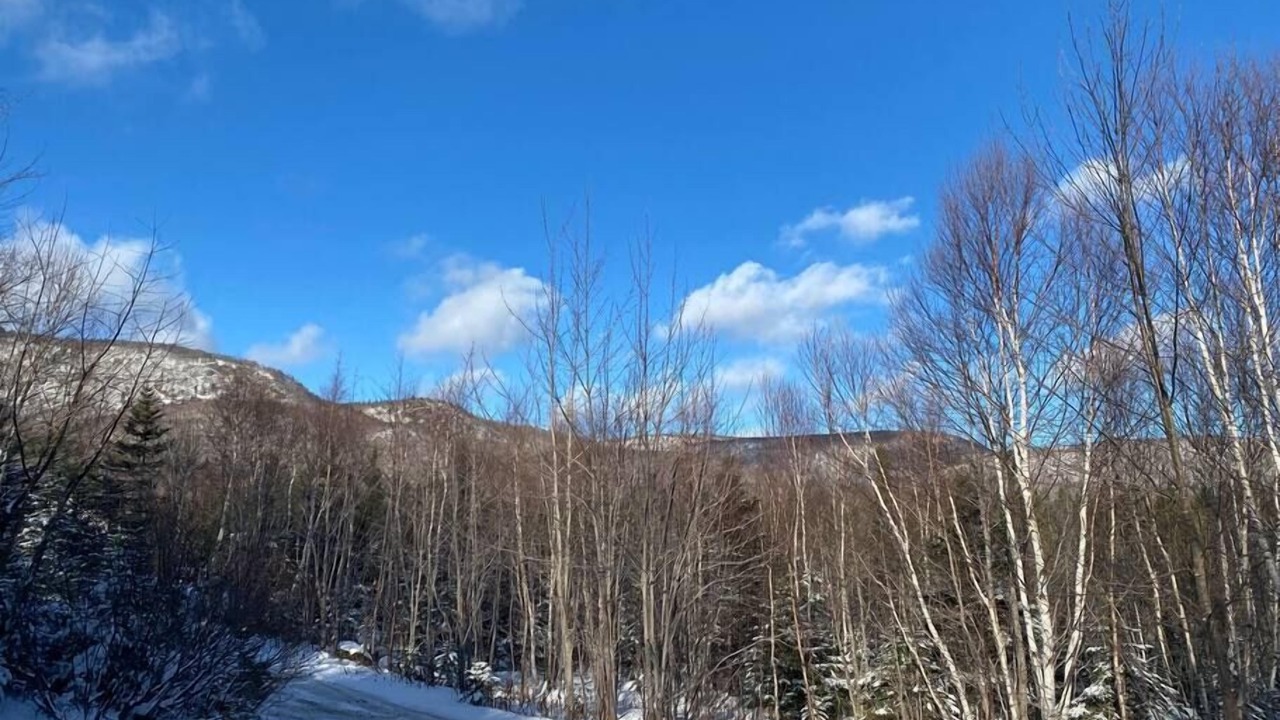 Photo of Outdoor in Wreck Cove
