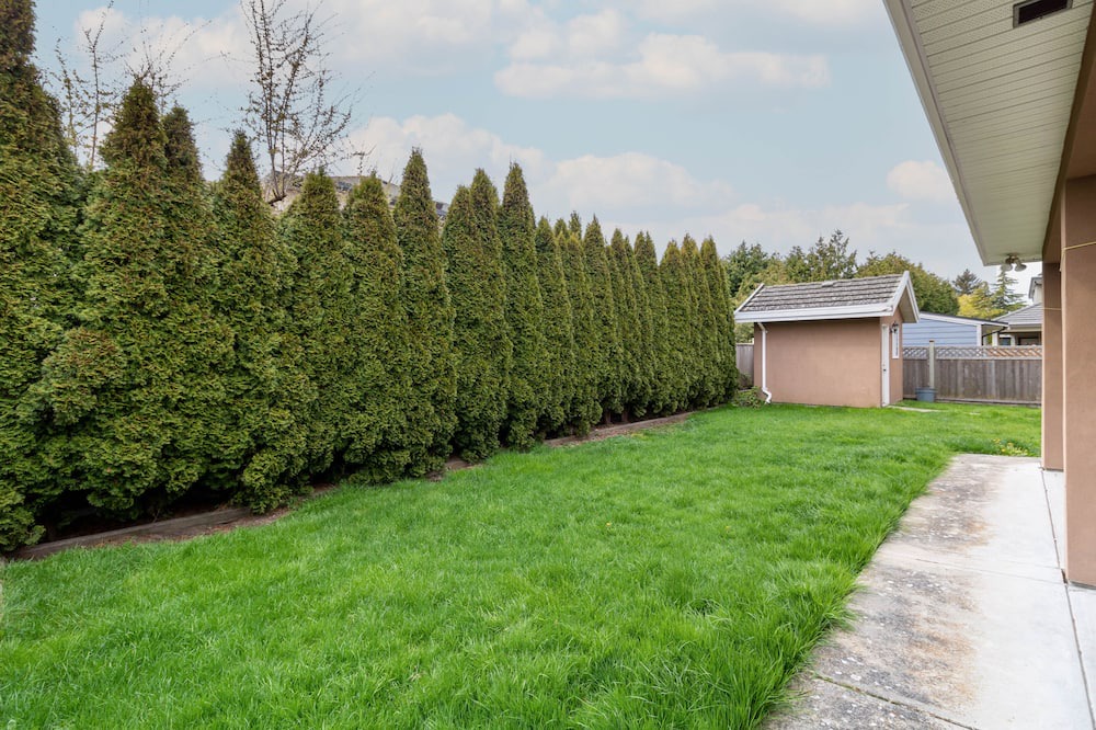 Photo of Outdoor in Seafair