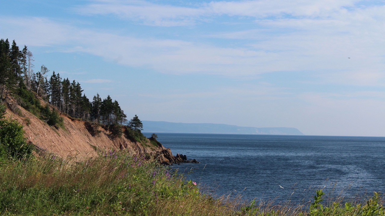 Photo of Others in Cape Dauphin