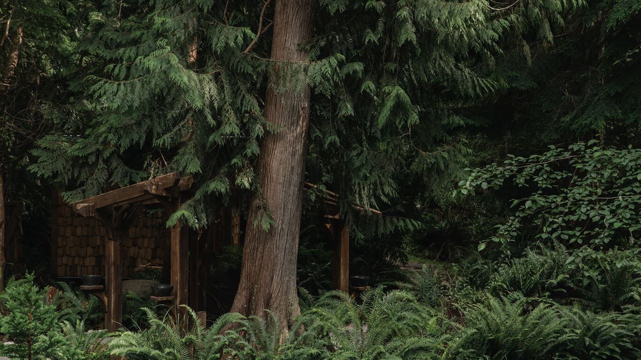 Photo of Outdoor in Savary Island
