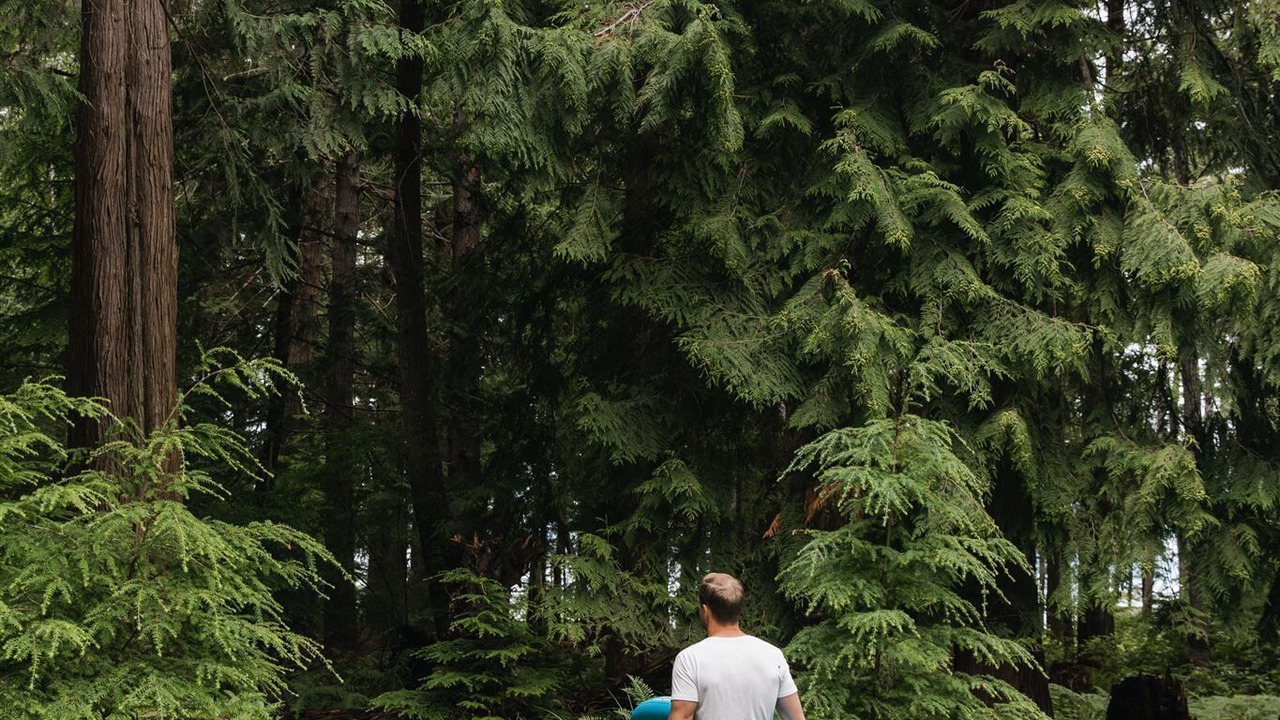 Photo of Outdoor in Savary Island