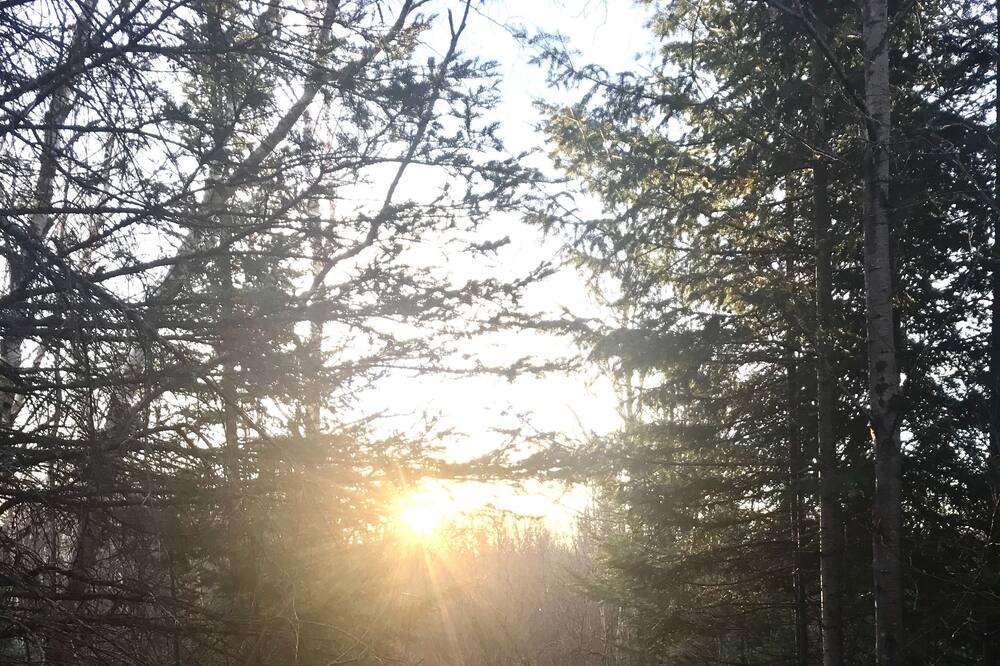 Photo of Outdoor in Sainte-Apolline-de-Patton