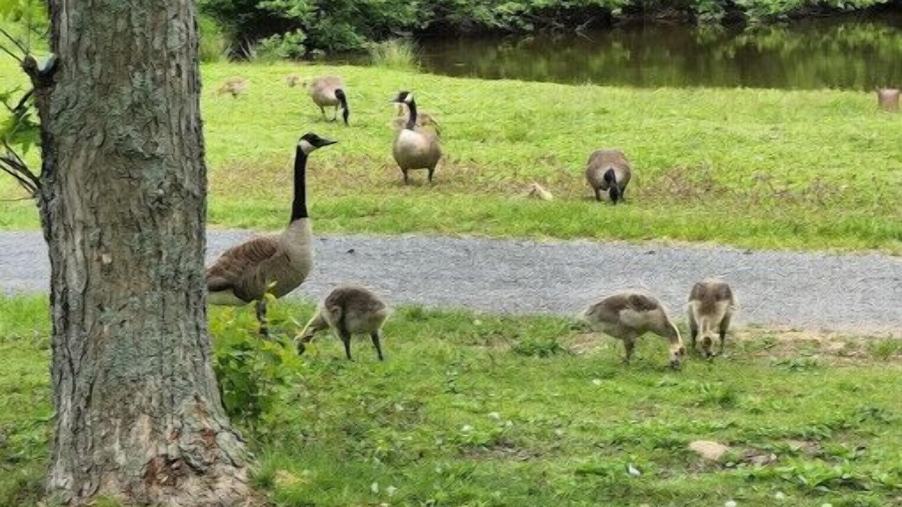 Photo of Others in Trenton