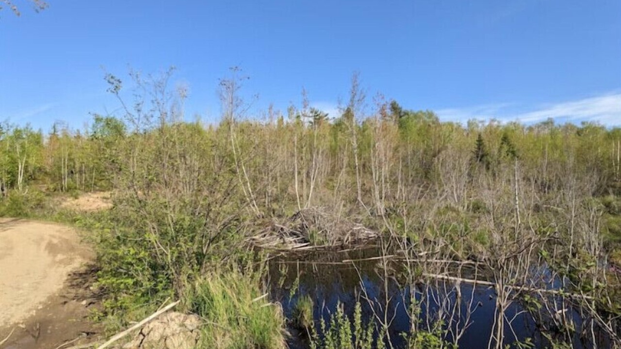 Photo of Outdoor in Trenton