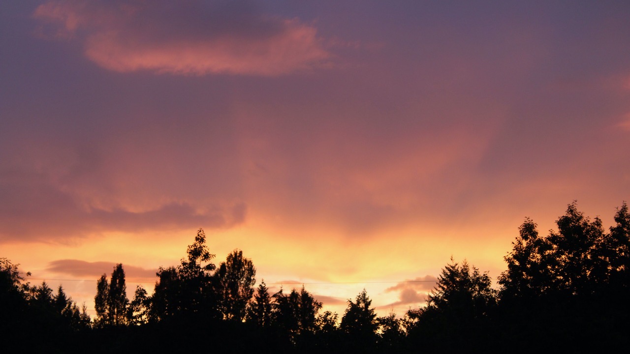 Photo of Others in Shawnigan Lake