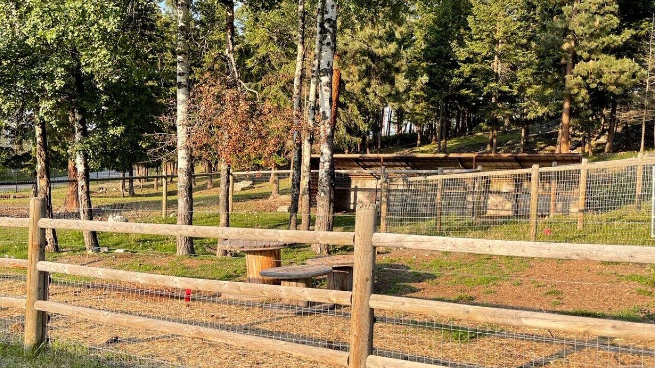 Photo of Outdoor in Southeast Kelowna
