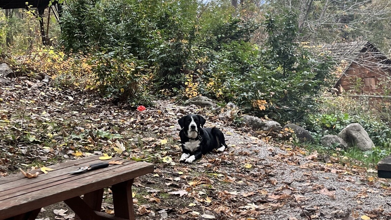 Photo of Outdoor in Central Okanagan