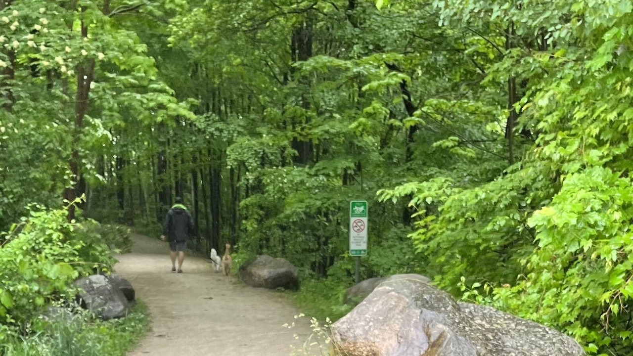 Photo of Outdoor in Meaford