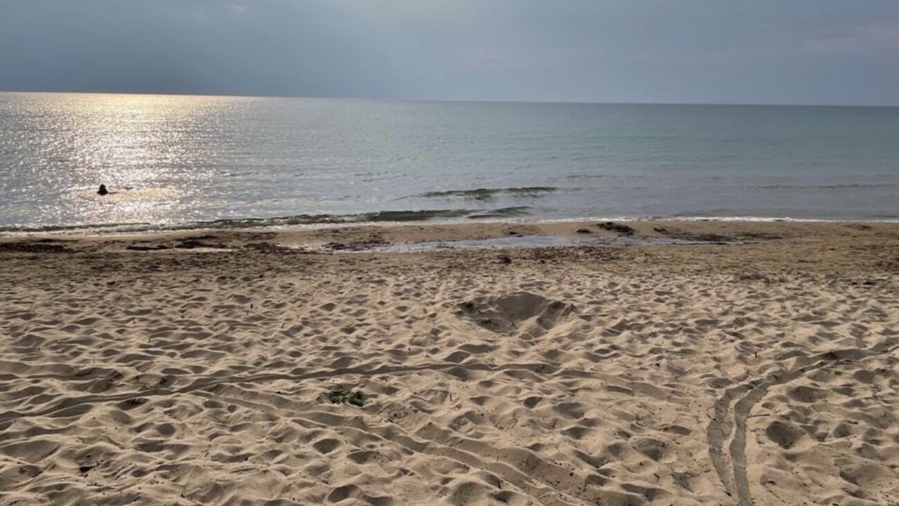 Photo of Others in Port Elgin