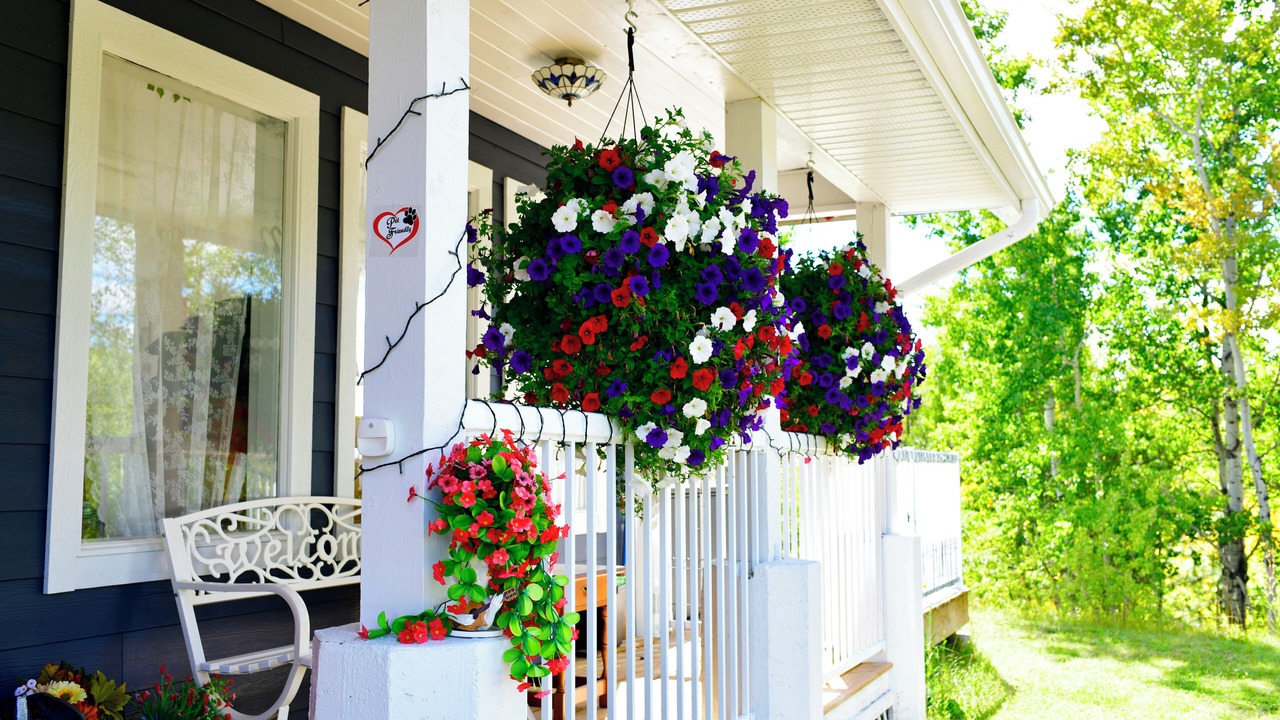 Photo of Outdoor in 70 Mile House