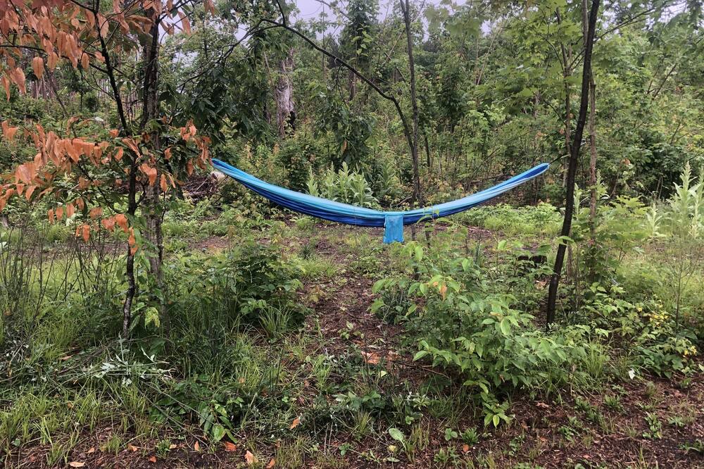 Photo of Outdoor in Scugog