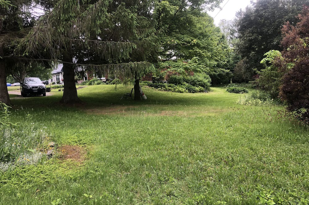 Photo of Outdoor in Grafton