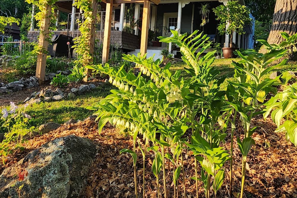 Photo of Outdoor in Port Carling