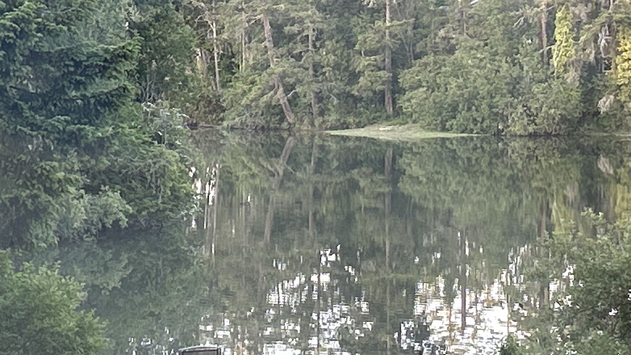 Photo of Others in North Saanich