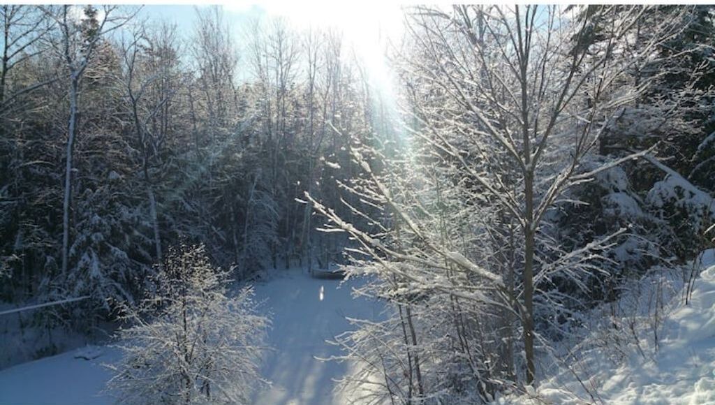 Photo of Outdoor in Georgian Bay