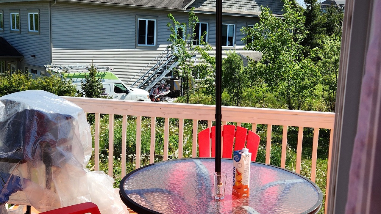 Photo of Outdoor in Rock Forest