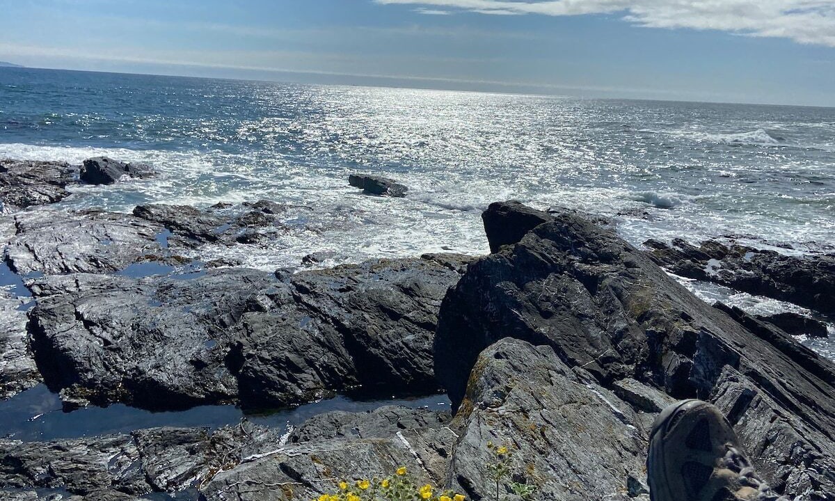 Photo of Others in Sooke