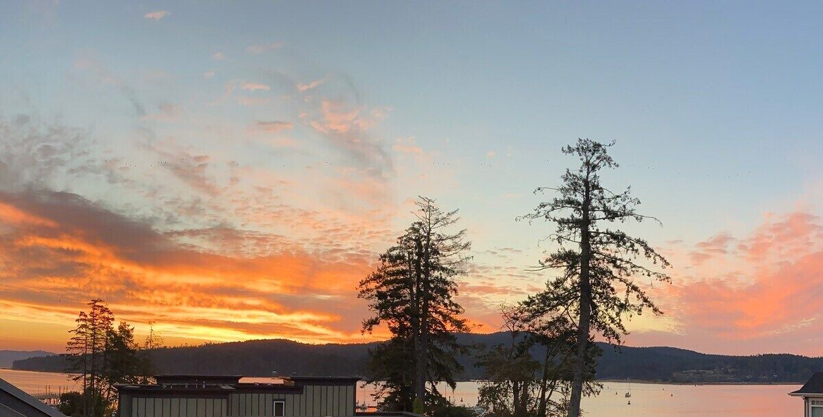 Photo of Others in Sooke