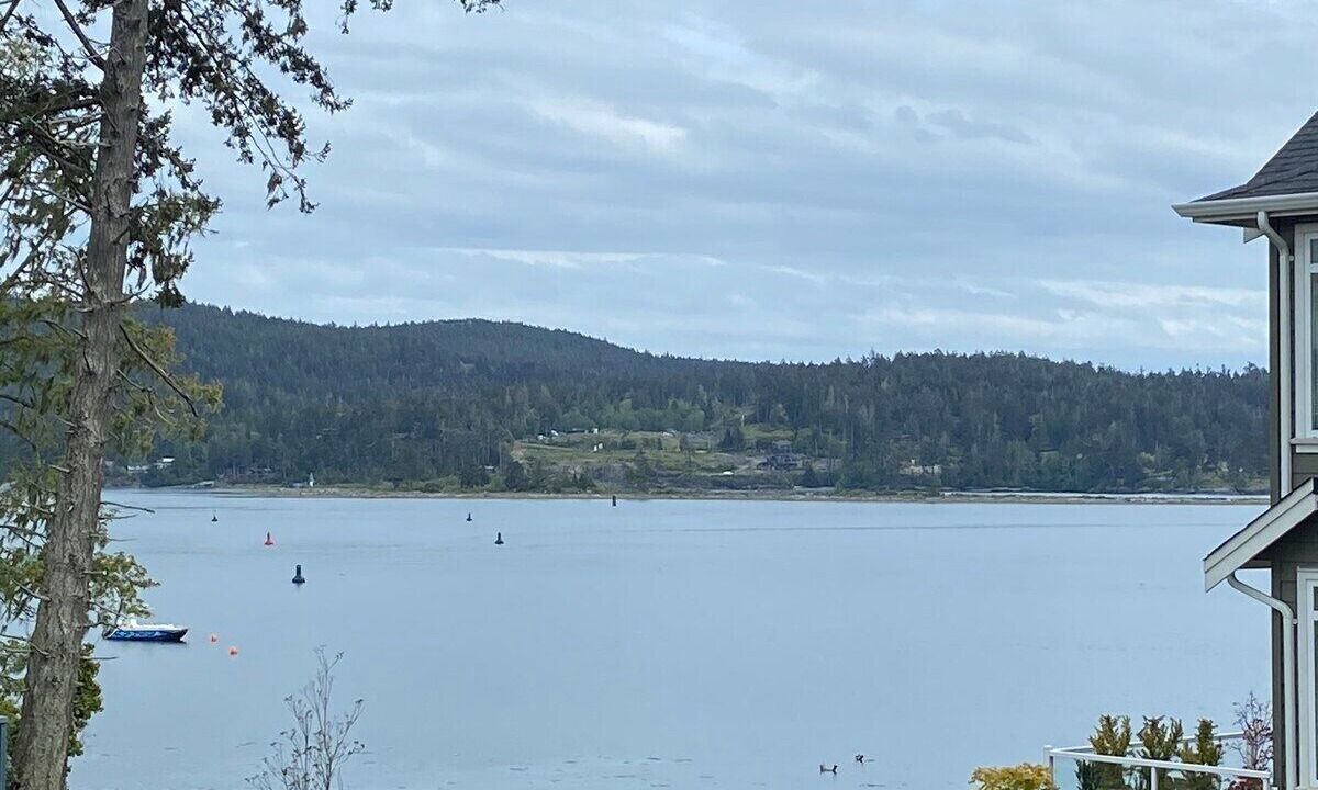 Photo of Others in Sooke