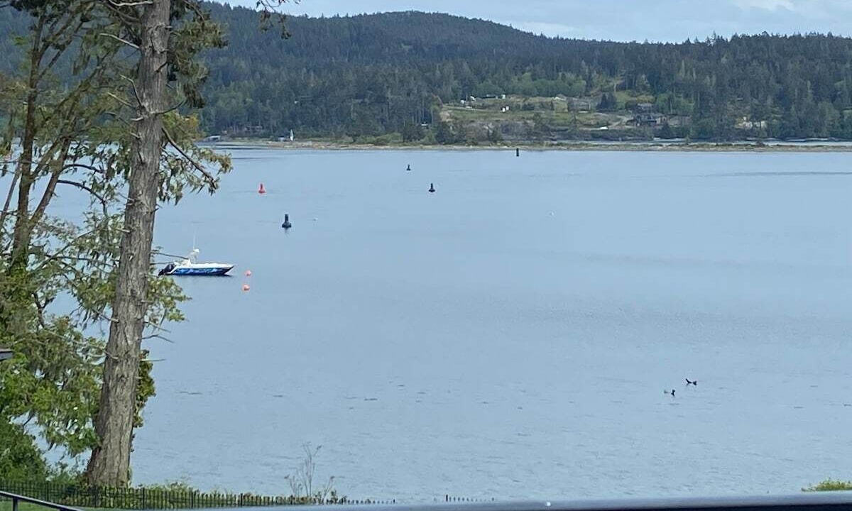 Photo of Outdoor in Sooke